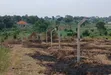 Prime Plots for Sale at Gayaza~Kiwenda Luunga Divine Estate - 5