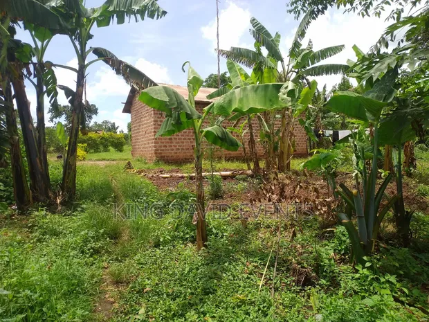 Plot 50x100 for Sale in Namayumba - 1