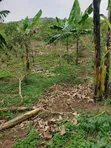 Plot 50x100 for Sale in Namayumba - 2