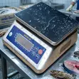 Waterproof Electronic Weighing Scale - 30kg / 0.5g - 3