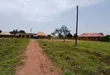 Prime Plots for Sale at Busiika-Kabeembe Land Estate, Gayaza Road - 1