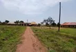 Prime Plots for Sale at Busiika-Kabeembe Land Estate, Gayaza Road - 2