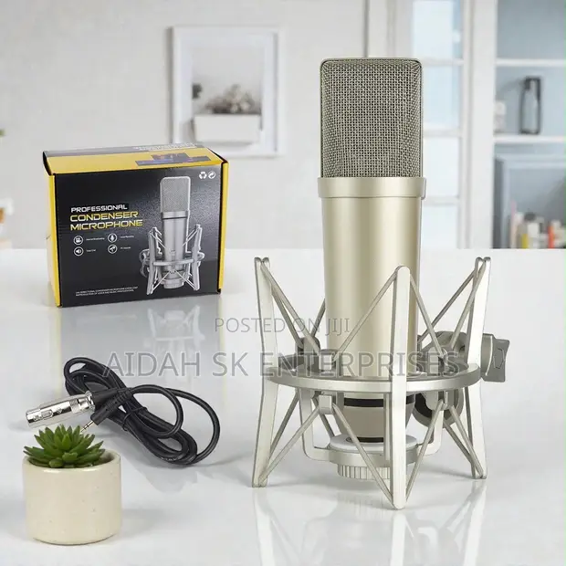 U87 Professional Recording Microphone - 1
