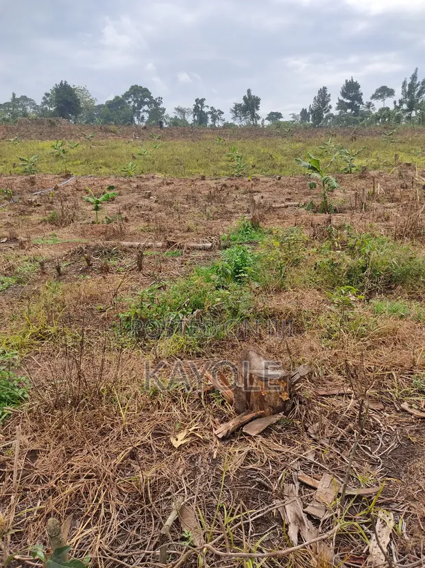 3 Acres Titled Land for Sale in Bombo Nalwana - 1