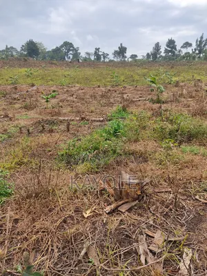 3 Acres Titled Land for Sale in Bombo Nalwana