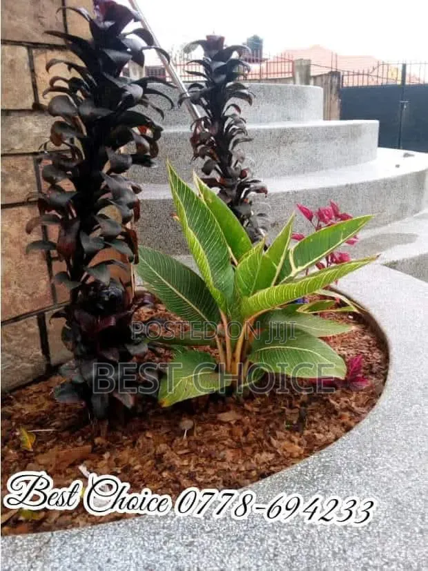 Compound Design & Landscaping Services - 1