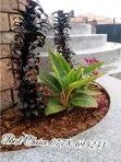 Compound Design & Landscaping Services - 1