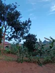 Plot for Sale in Wakiso - 1