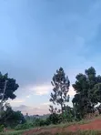 Plot for Sale in Wakiso - 2