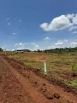 Prime Plots for Sale at Mpigi~Bubezi Modern Land Estate - 2