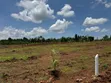 Prime Plots for Sale at Mpigi~Bubezi Modern Land Estate - 5