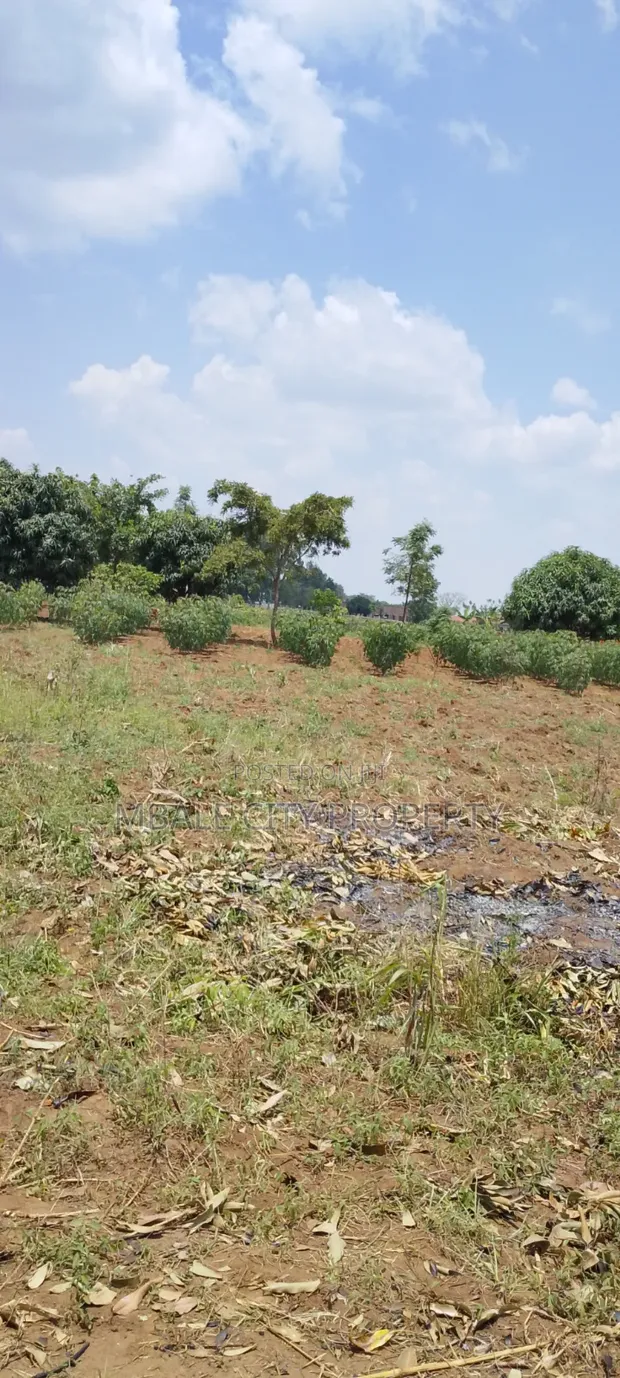 50x100ft Plot for Sale in Kamonkoli Ssekulo - 1