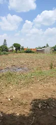 50x100ft Plot for Sale in Kamonkoli Ssekulo - 3