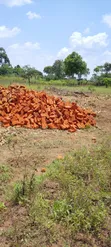 50x100ft Plot for Sale in Kamonkoli Ssekulo - 4
