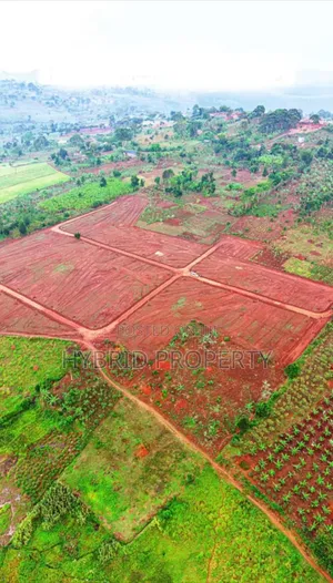 Prime Plots for Sale at Kampiringisa-Muyira Estate, Masaka Road