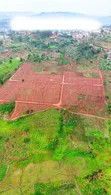 Prime Plots for Sale at Kampiringisa-Muyira Estate, Masaka Road - 2