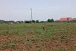 Prime Plots for Sale at Busiika~Wabikokoma Estate - 5