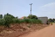 2 Commercial Plots for Sale in Busiika, Gayaza Road - 4