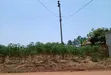 2 Commercial Plots for Sale in Busiika, Gayaza Road - 5