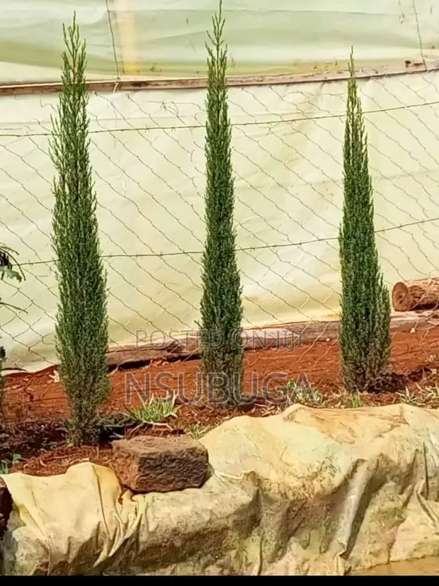 Compound Designing & Green Promotion - 1