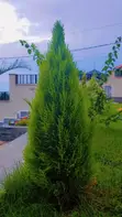 Compound Designing & Green Promotion - 2