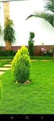 Compound Designing & Green Promotion - 3