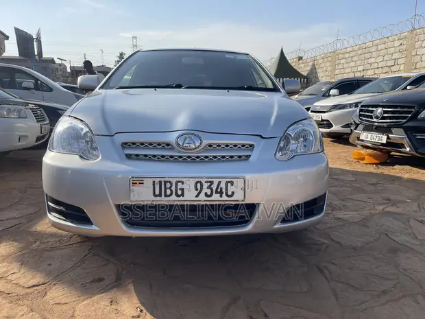Toyota Allex 2006 Silver - 1