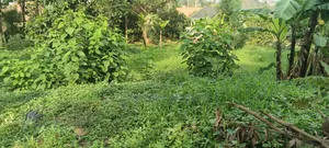 Plot of Land Milo 50x100 at Kakiri Mpegwe