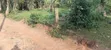 Plot of Land Milo 50x100 at Kakiri Mpegwe - 2