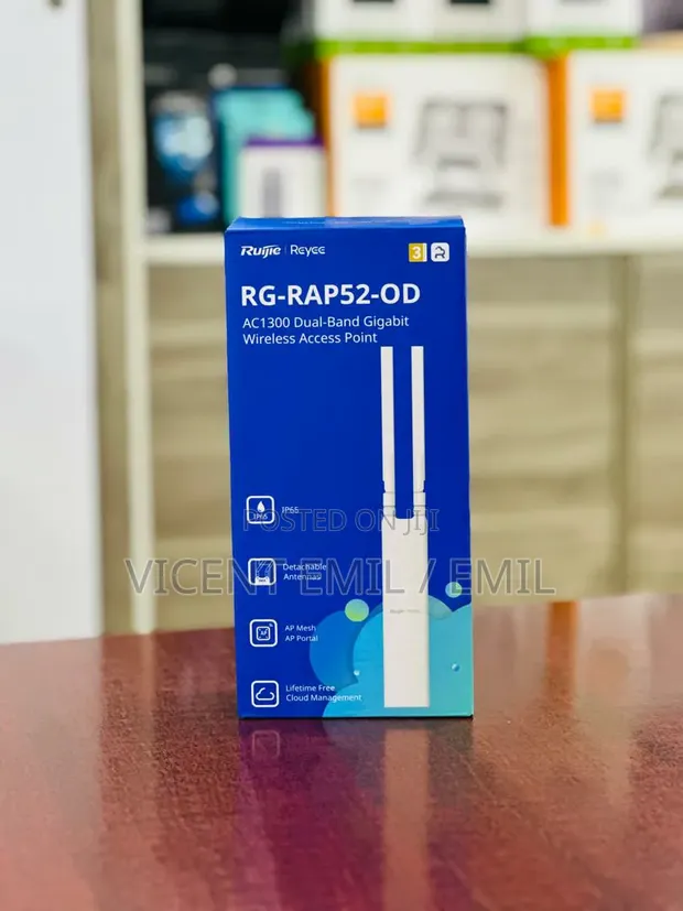 Ruijie Reyee RG-RAP52-OD AC1300 Outdoor Access Point - 1