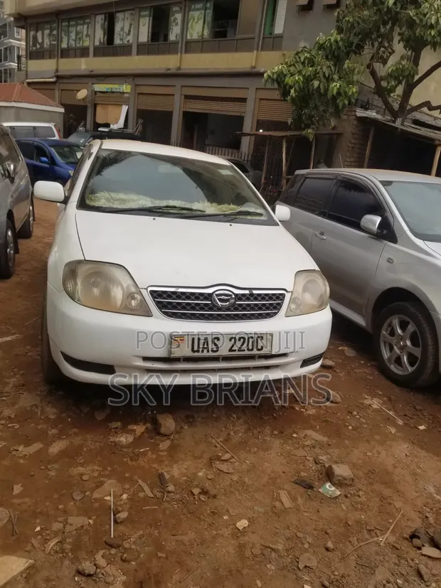 Toyota Corolla Fielder 1.8 Petrol AWD 2005 White - 1