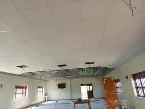 Suspended Ceiling Installation - Lira