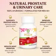 Pros-X Capsules for Prostate Wellness - 1