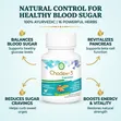 Ayurveda Chodex-3 Blood Sugar Support Capsules - 2