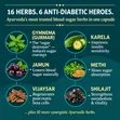 Ayurveda Chodex-3 Blood Sugar Support Capsules - 5