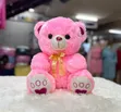 Sitting Teddy Bear - 1
