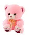 Sitting Teddy Bear - 2