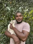 Purebred Persian Kitten - 3-6 Months - 2