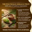 Ayurveda Noni Juice - 5