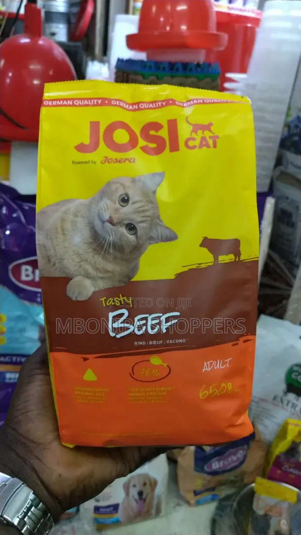 CAT Tasty Beef Rich Complete Nutrition for Adult Cats, 650g - 1