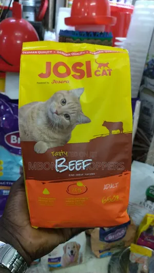 CAT Tasty Beef Rich Complete Nutrition for Adult Cats, 650g