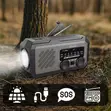 Green Lion G-Radio Lite - 2