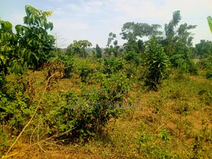 Nampunge Titled Land - 460 sqm