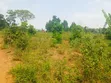 Nampunge Titled Land - 460 sqm - 2