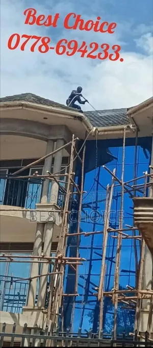 Expert Roof Cleaning Services