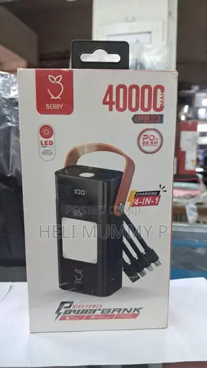 Berry 40000mAh PB23 Power Bank