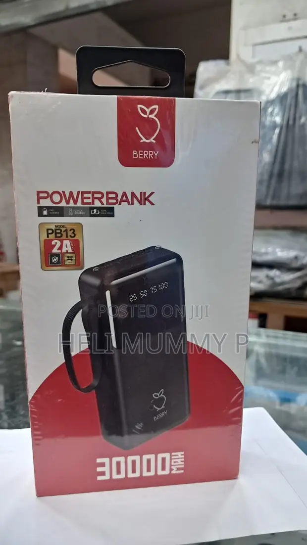 Berry10000 PB13 Power Bank - 1