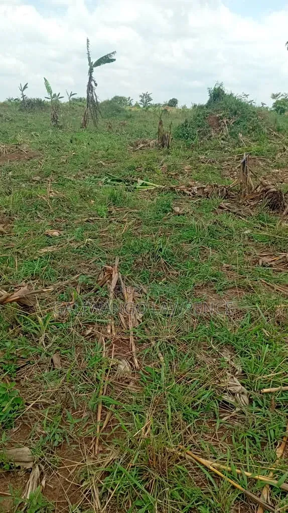 Land for Sale in Nakasongola - 1