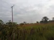 Land for Sale in Nakasongola - 3