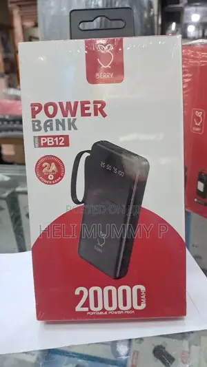 Berry PB12 20,000 mAh Power Bank